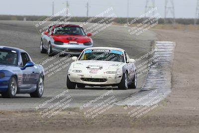 media/Oct-26-2024-Nasa (Sat) [[d836a980ea]]/Race Group B/Grapevine/